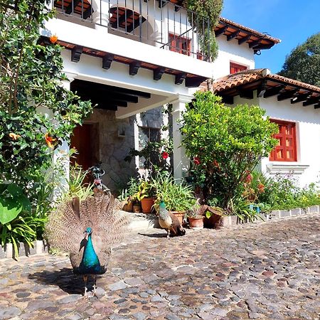 Hotel Y Jardines Casa Buho Antigua ภายนอก รูปภาพ