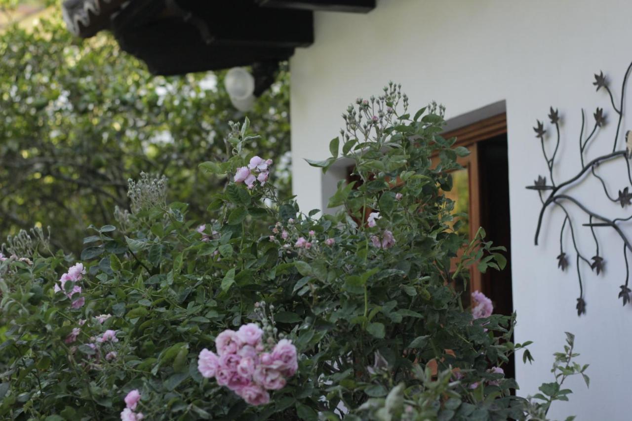 Hotel Y Jardines Casa Buho Antigua ภายนอก รูปภาพ