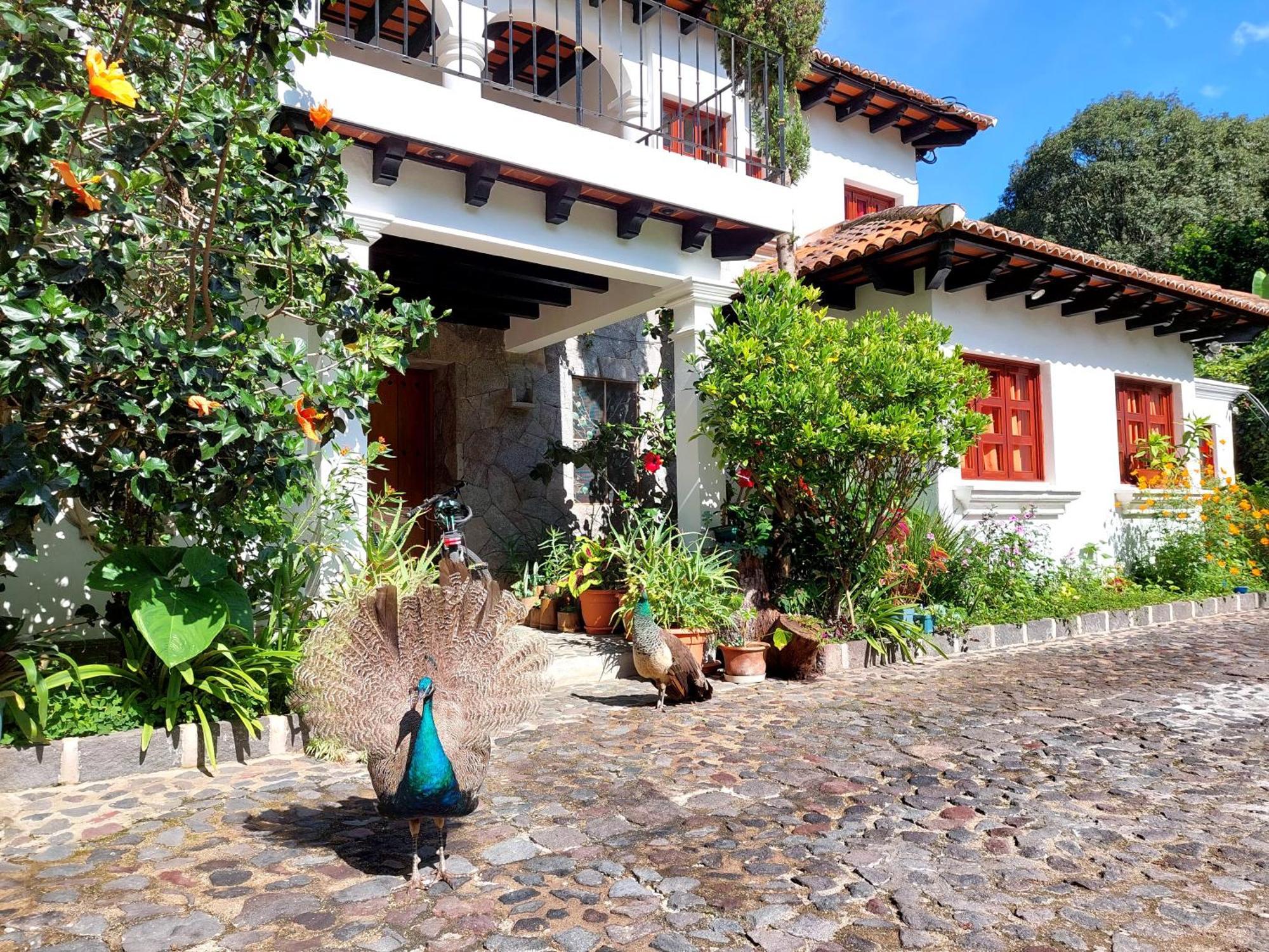 Hotel Y Jardines Casa Buho Antigua ภายนอก รูปภาพ